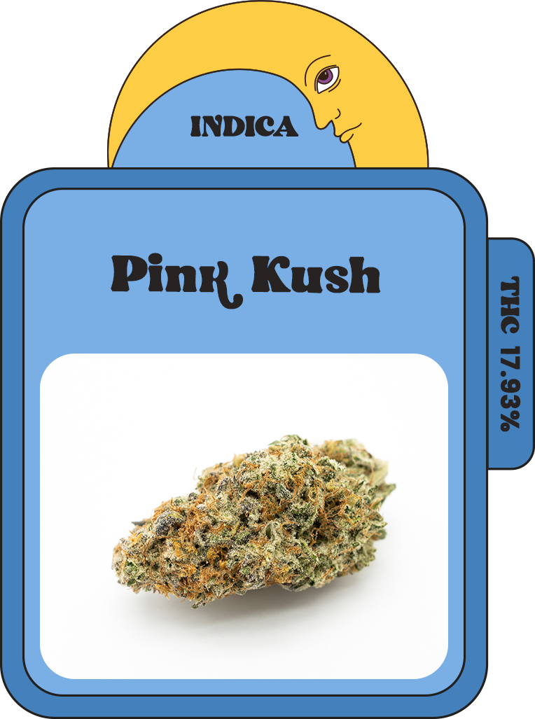 pink kush cannabis