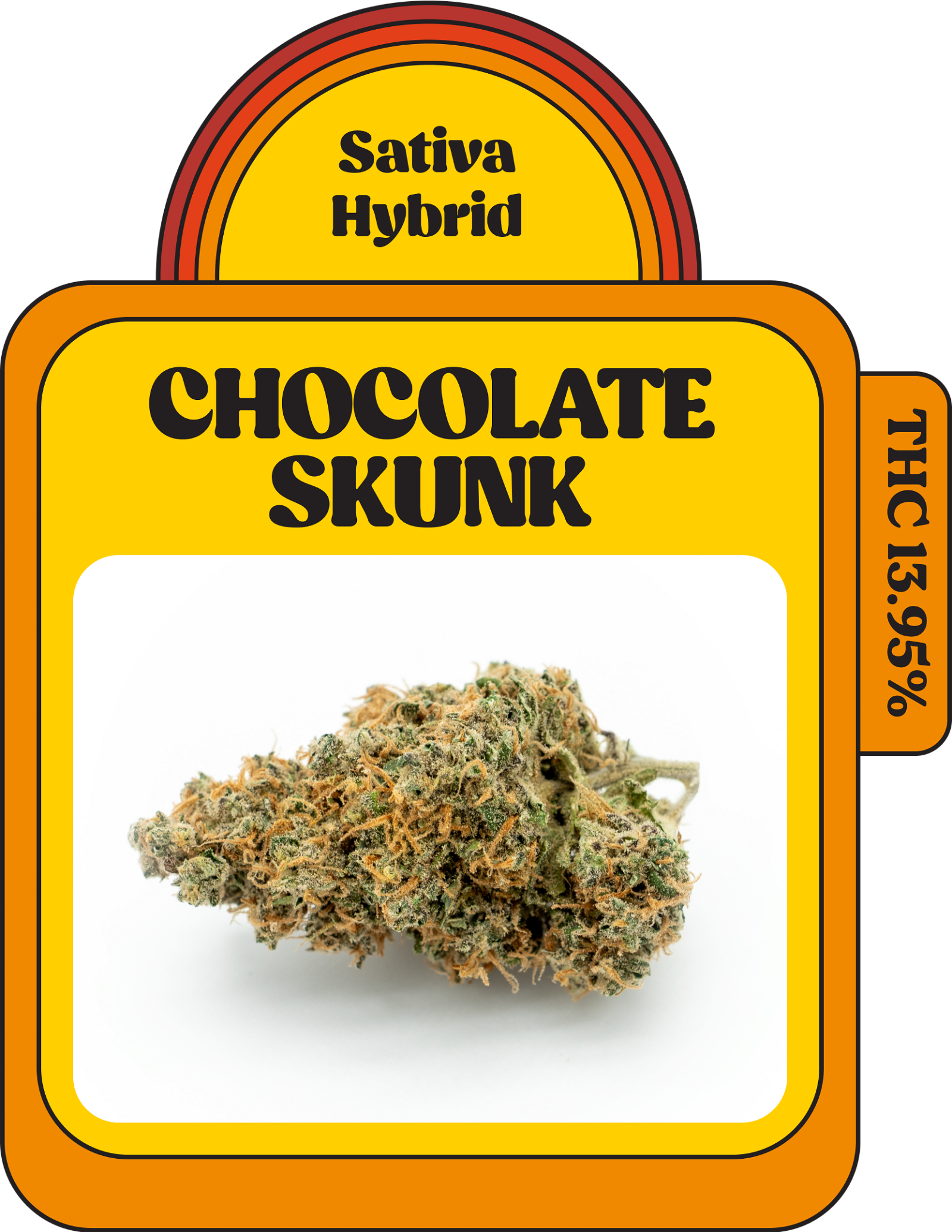 chocolate skunk