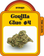 Gorilla Glue #4